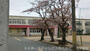 小学校　六人部小学校（小学校）まで189m