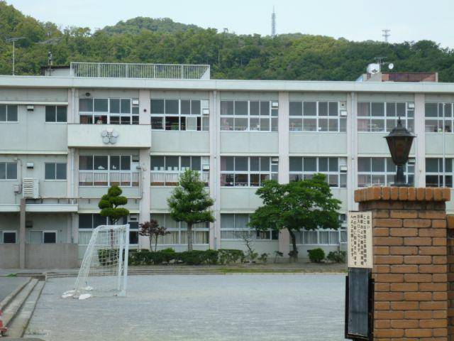 小学校　岐阜市立梅林小学校（小学校）まで294m