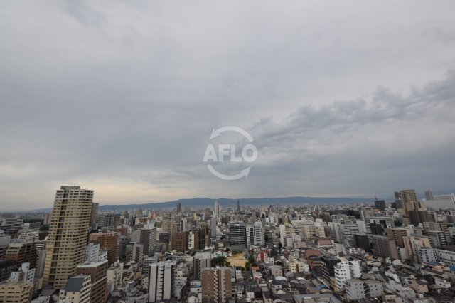 地下鉄長堀鶴見緑地線 松屋町駅 徒歩1分 29階建 築18年のその他写真