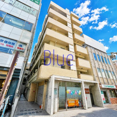La jolla Fujisawa