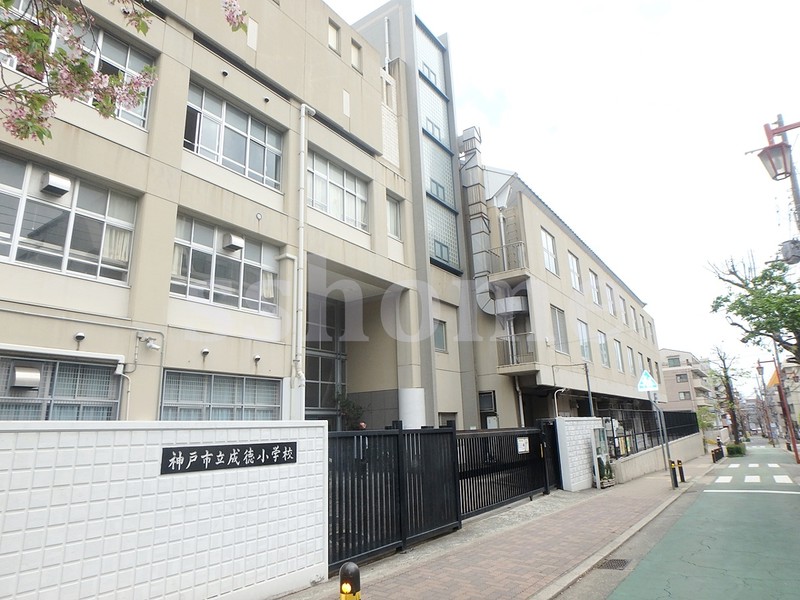 小学校　神戸市立成徳小学校（小学校）まで591m