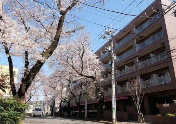 東急田園都市線 たまプラーザ駅 徒歩7分 築22年