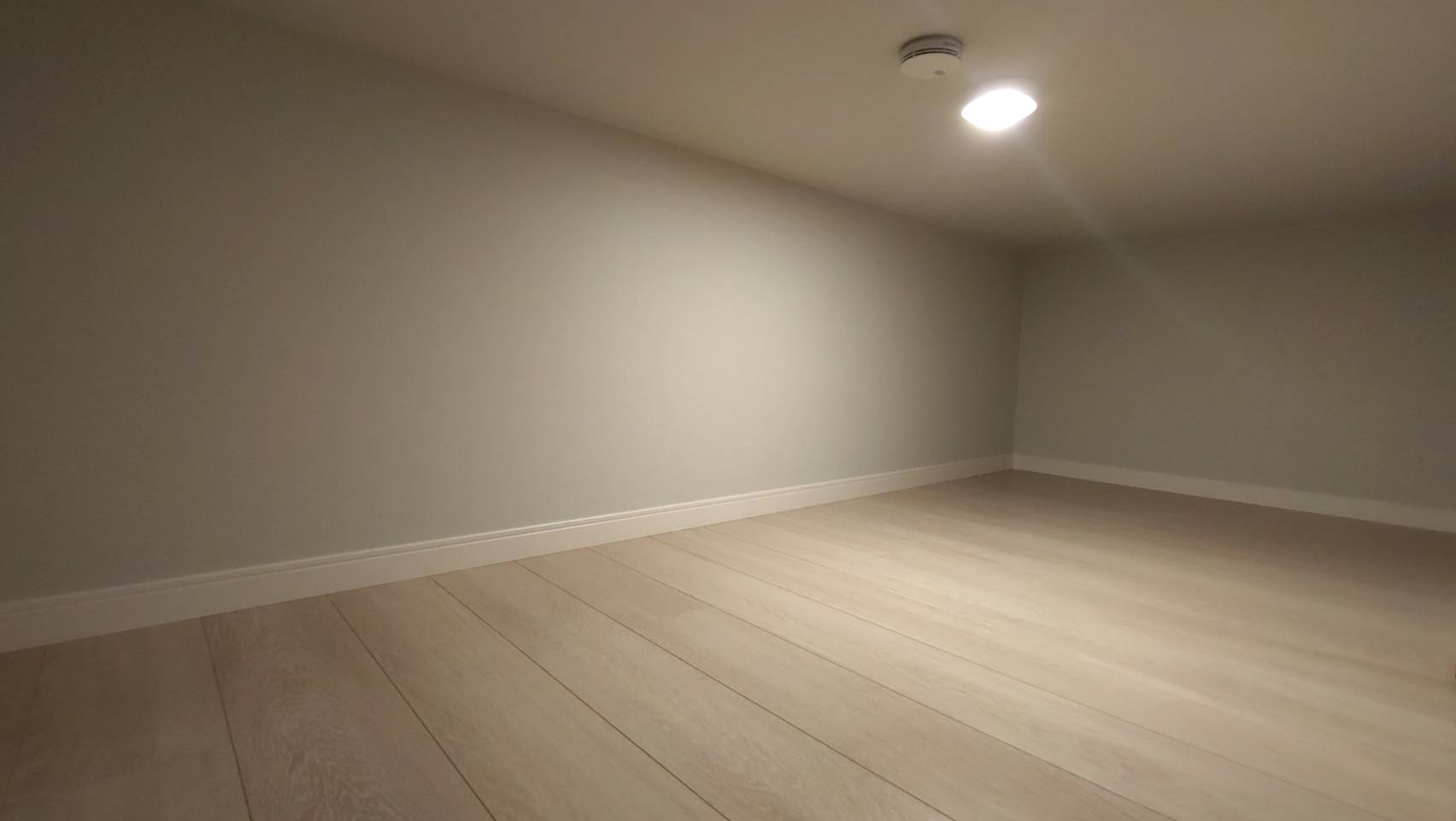 magazzino_その他_4