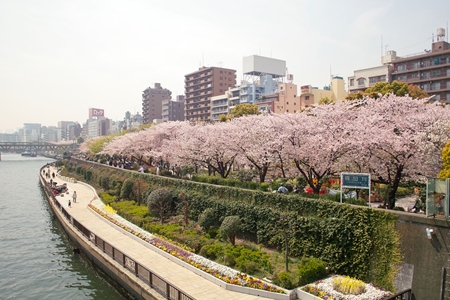 【墨田区向島のアパートの公園】