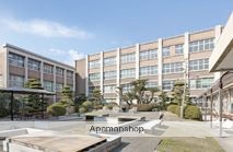 大学・短大　宇部フロンティア短期大学（大学・短大）まで743m