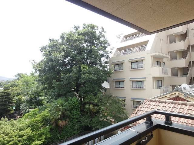 眺望　305号室の眺望です。