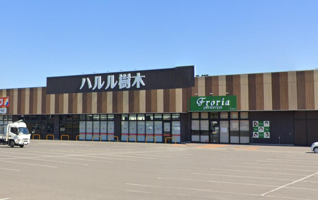 ショッピングセンター　ハルル樹木（ショッピングセンター）まで1166m