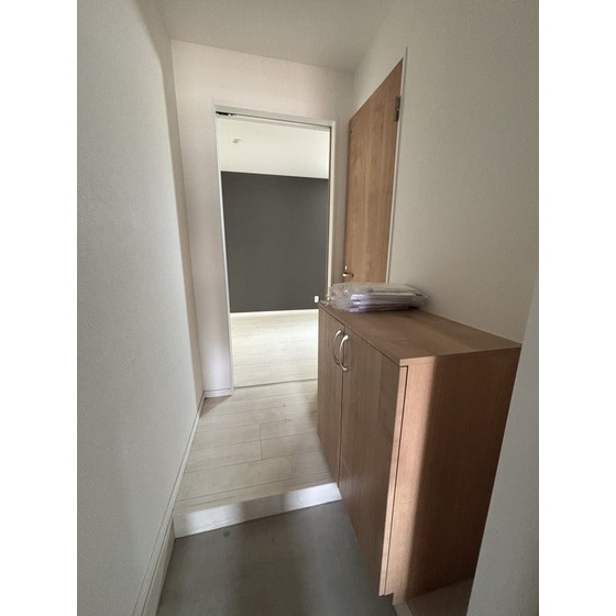 玄関　※同タイプ別部屋の写真。現況優先※