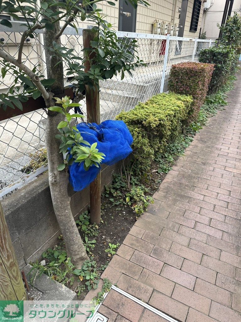 庭　庭