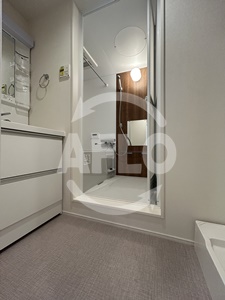 洗面設備　ハーモニーテラス中宮II　洗面所