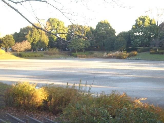 公園　三橋総合公園（公園）まで1200m