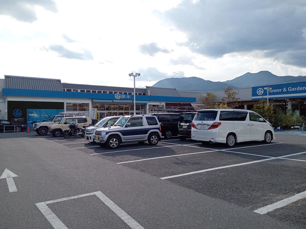 ホームセンター　綿半スーパーセンター万力店（ホームセンター）まで1560m