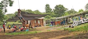 公園　練馬区立 こどもの森（公園）まで402m