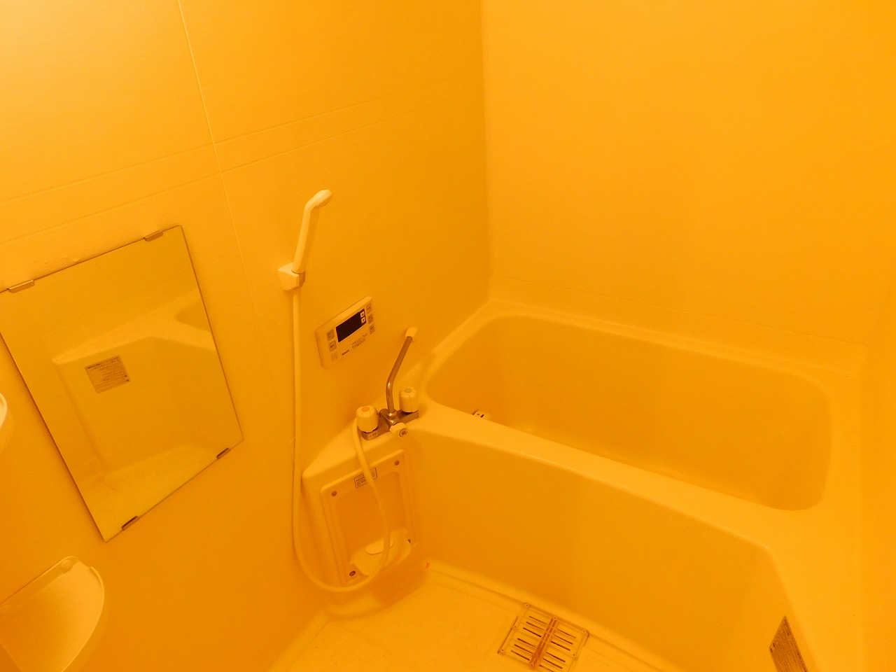 バス・シャワールーム　※同建物同型別のお部屋