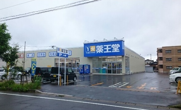 ドラックストア　薬王堂秋田東通店（ドラッグストア）まで600m