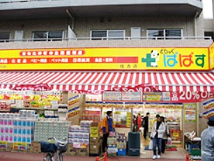 ドラックストア　どらっぐぱぱす 住吉店（ドラッグストア）まで642m