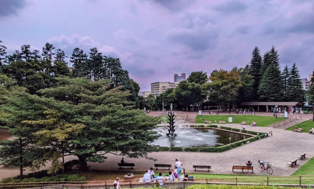 公園　世田谷公園（公園）まで1040m