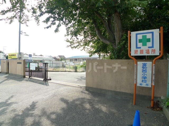 小学校　柏市立富勢西小学校（小学校）まで1100m