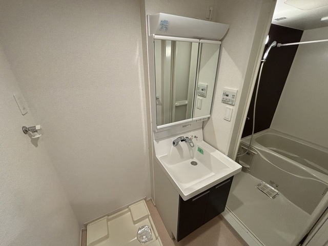 洗面設備　別号室の写真です