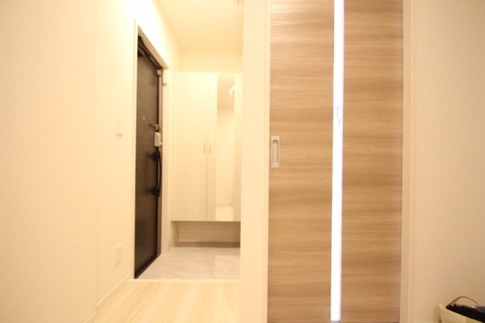 玄関　姿見付きのシューズボックス