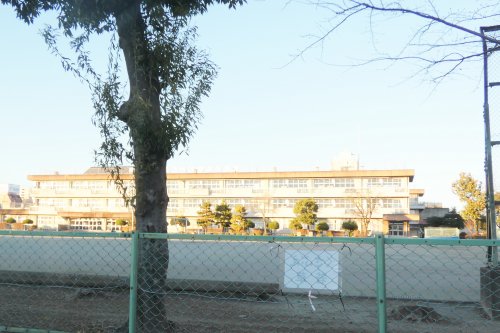 小学校　小山市立小山城東小学校（小学校）まで633m
