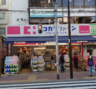 ドラックストア　ココカラファイン 大森店（ドラッグストア）まで576m