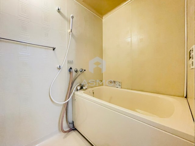 バス・シャワールーム　※同物件　別間取り　参考写真