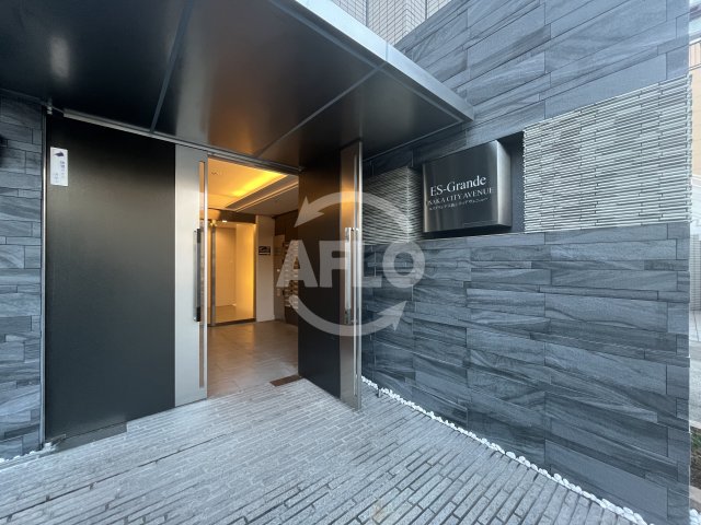 エントランス　ES-Grande大阪 City Avenue　エントランス