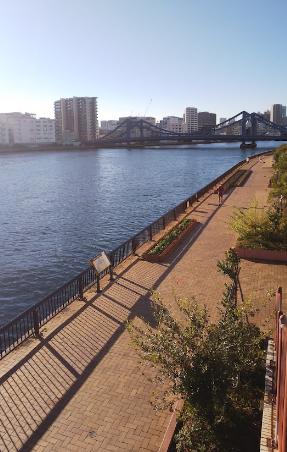 公園　中洲公園（公園）まで392m