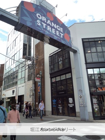 その他　オレンジストリート（その他）まで100m