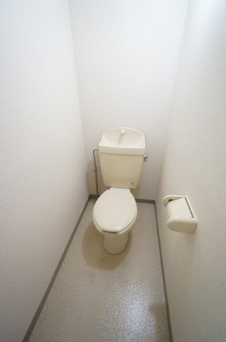 トイレ　※同物件・反転タイプの写真です。