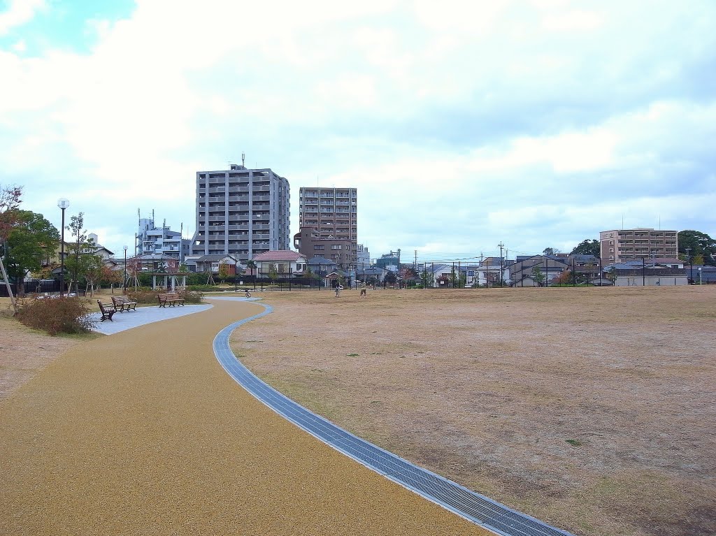 公園　那珂中央公園（公園）まで433m