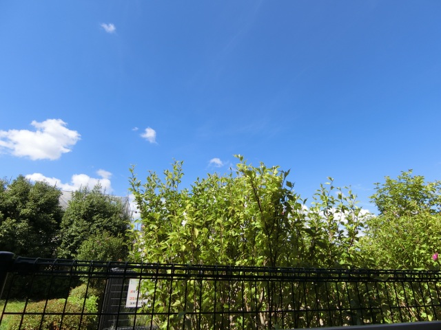 眺望　１F眺望