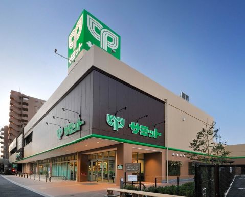 スーパー　サミットストア野沢龍雲寺店（スーパー）まで305m