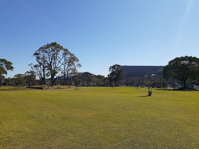 公園　大坪池公園（公園）まで600m