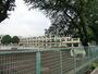 小学校　練馬区立谷原小学校（小学校）まで592m