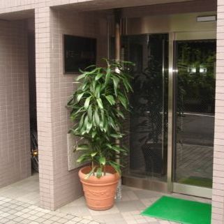 エントランス　落ち着いたエントランスです