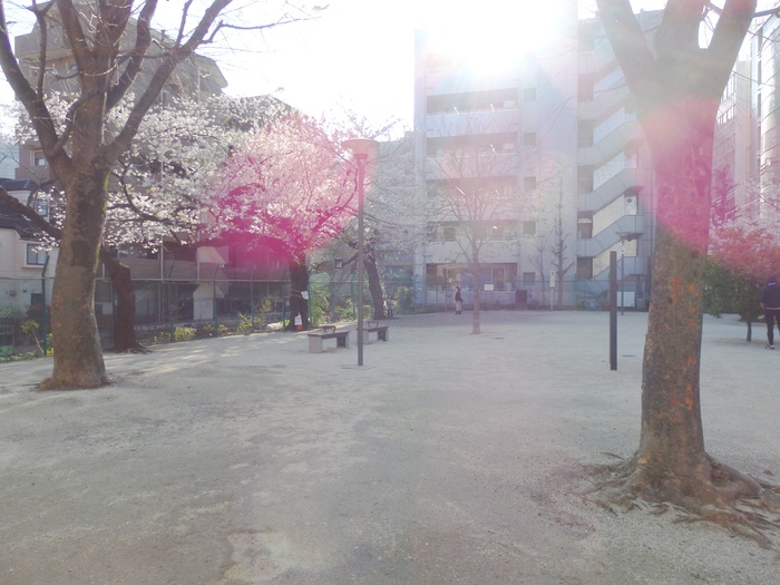 公園　臨川四季の森（公園）まで84m