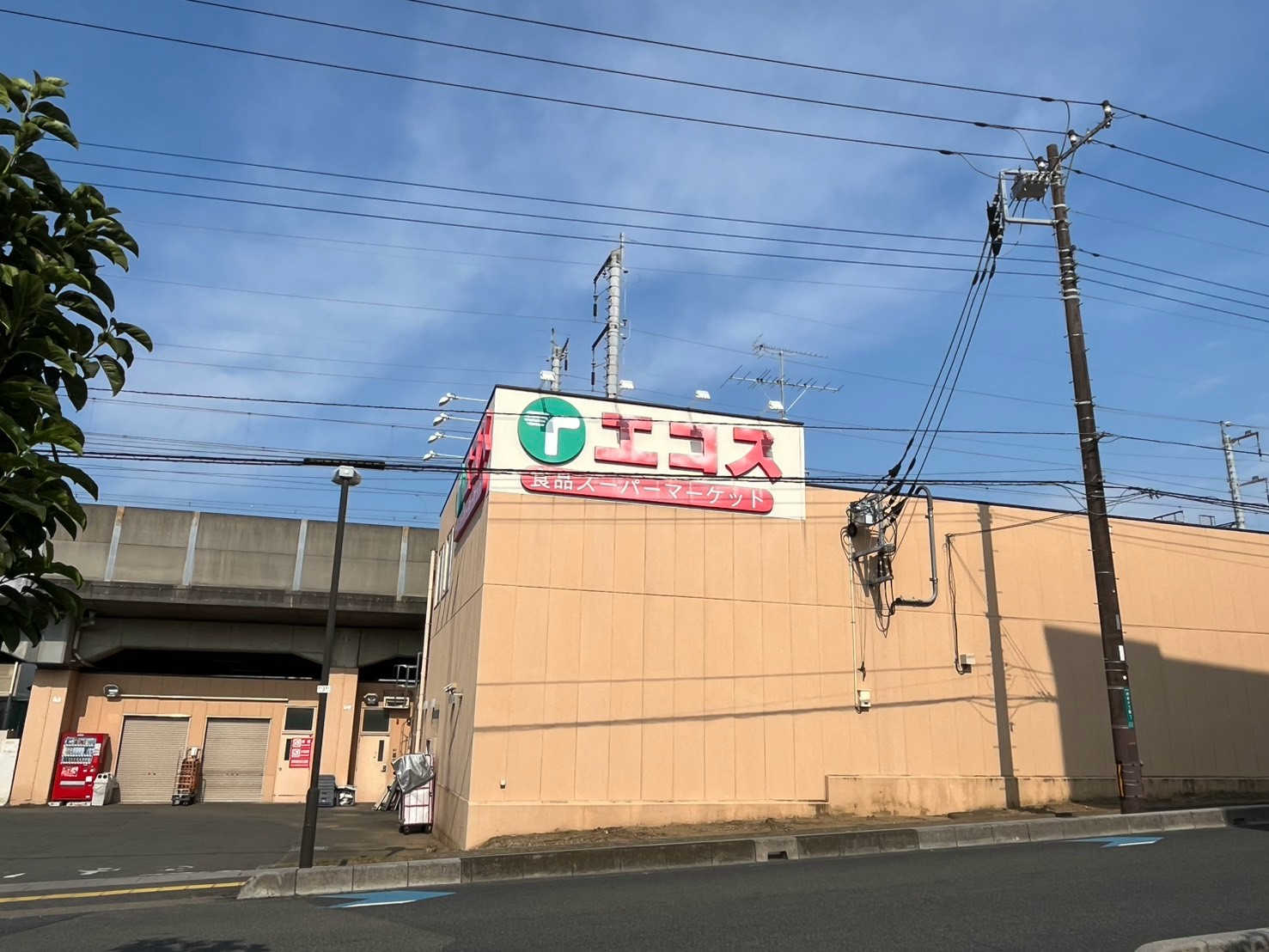 スーパー　エコス与野鈴谷店（スーパー）まで73m