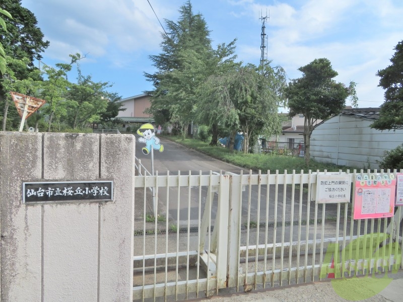 小学校　仙台市立桜丘小学校（小学校）まで1276m