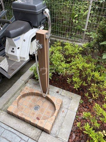 庭