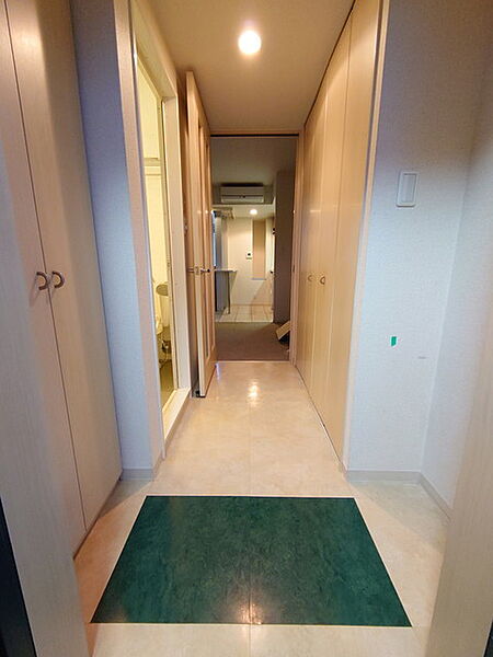 玄関　※別部屋の参考写真です。