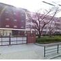 中学校　大阪市立平野中学校（中学校）まで264m