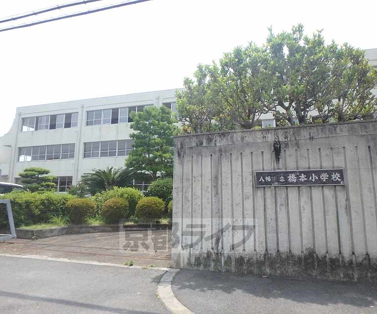 小学校　八幡市立橋本小学校（小学校）まで442m