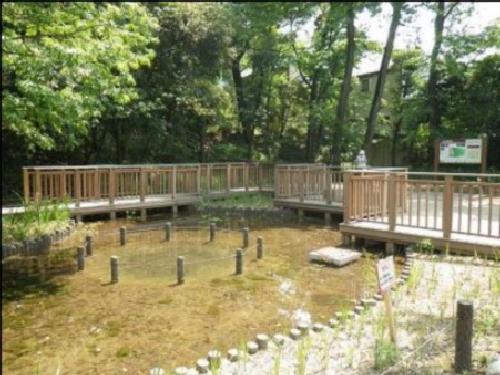 公園　上野毛自然公園（公園）まで400m