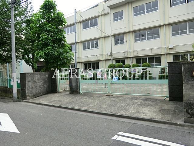 小学校　川崎市立向小学校（小学校）まで556m