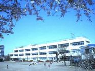 小学校　立川市立大山小学校（小学校）まで229m