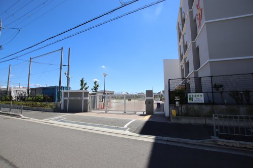 小学校　堺市立東陶器小学校（小学校）まで576m