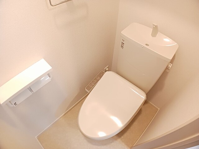 ＪＲ山陰本線 松崎駅 徒歩71分 2階建 築2年のトイレ写真