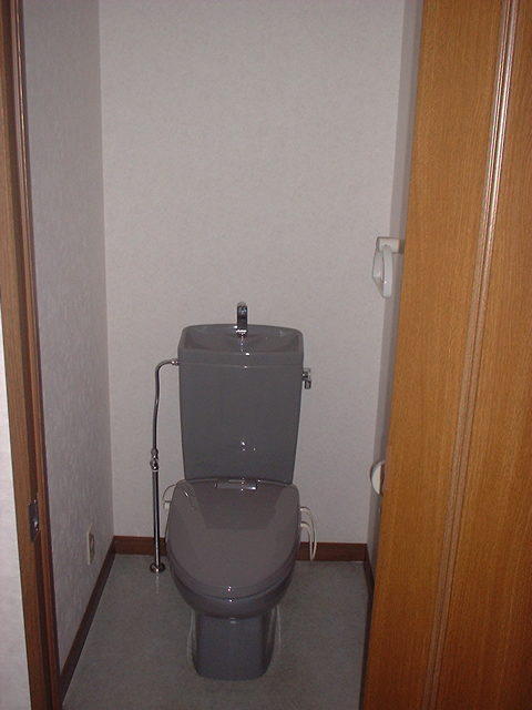 プログレス八乙女のトイレ写真